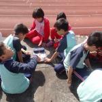 DSC00734.JPG