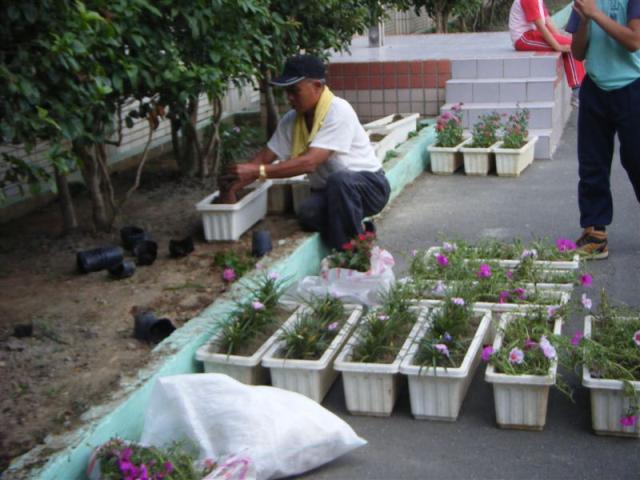 整理培養土 培育新植栽