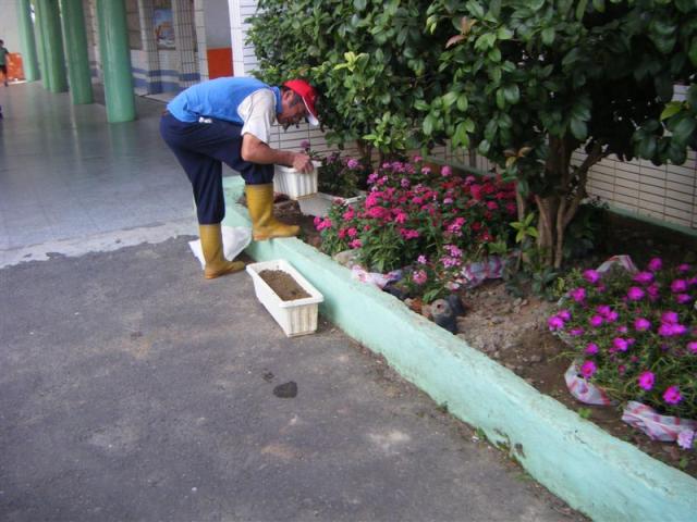 整理培養土 培育新植栽