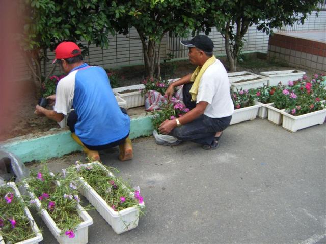 整理培養土 培育新植栽