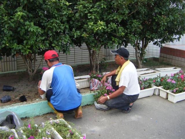 整理培養土 培育新植栽