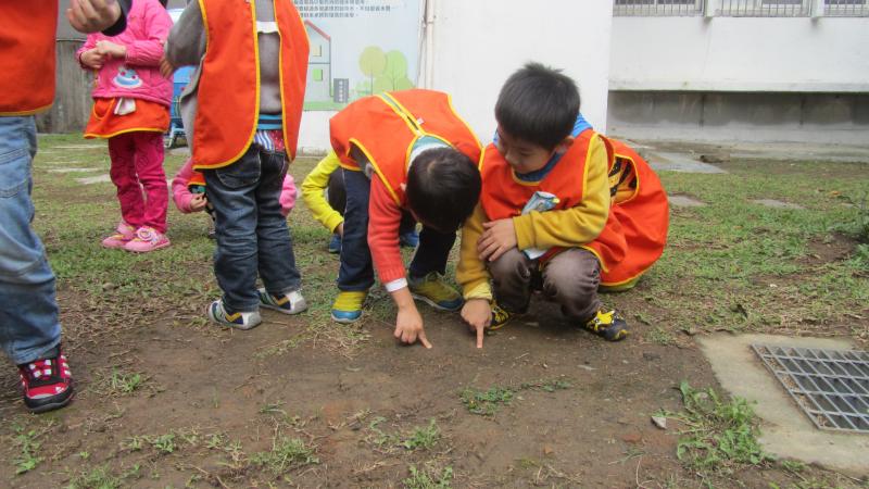 摸摸踩踩泥土 (3)
