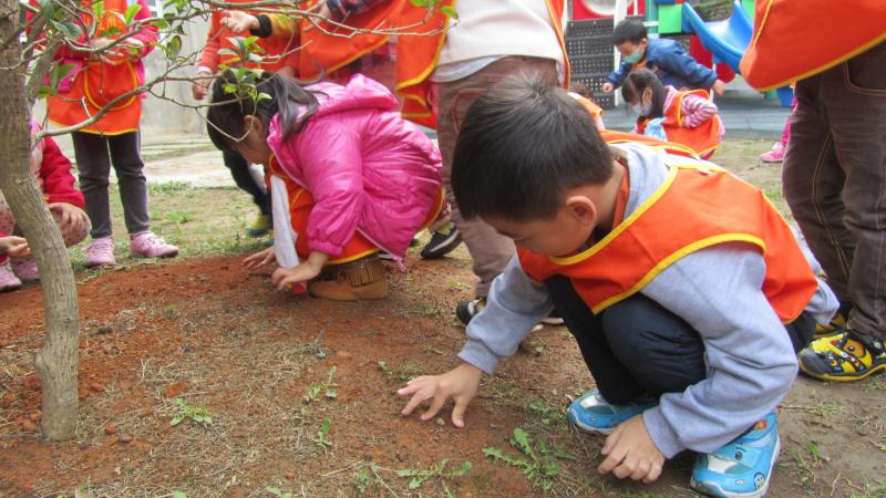 摸摸踩踩泥土 (9)