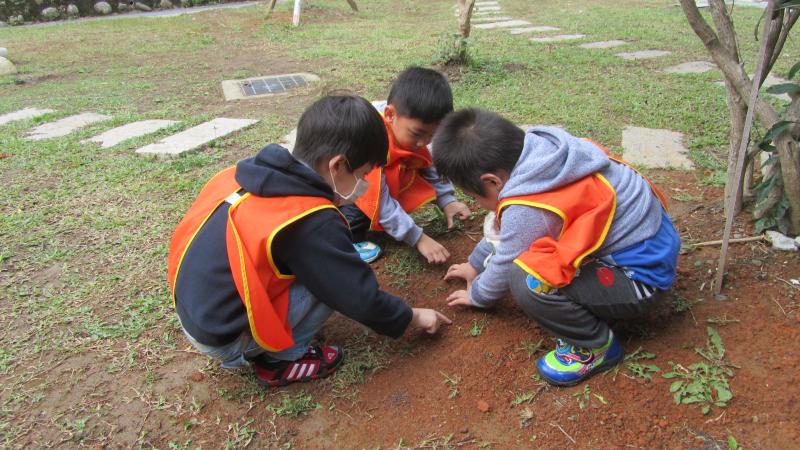 摸摸踩踩泥土 (10)