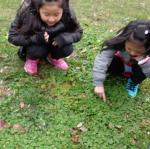 DSC00103.JPG