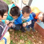 DSC00107.JPG