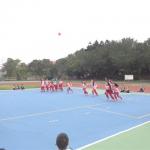 DSC03185
