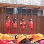 DSC02530