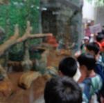 DSC00507