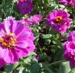 DSC05471.JPG