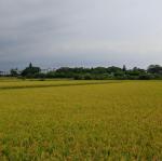 DSC00257.JPG