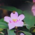 DSC08884.JPG