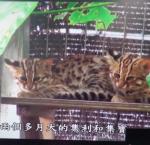 收看環境教育影片1