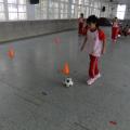 DSCF1176.jpg