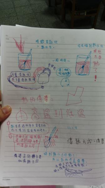IMAG6053