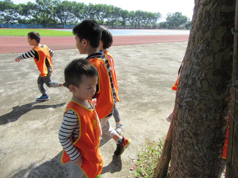 觀察樹木樹葉 (29).JPG