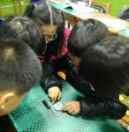 IMG_20161215_132743.jpg