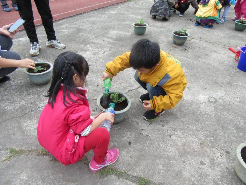 一起種菜去 (104).JPG