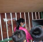 DSC03364.JPG