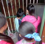 DSC03372.JPG