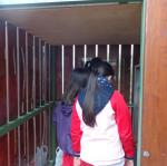 DSC03374.JPG