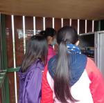 DSC03375.JPG