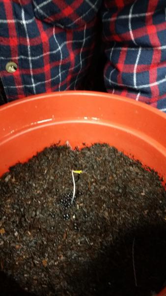 20170301_094820.jpg