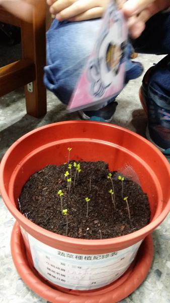 20170301_094943.jpg