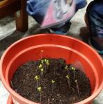 20170301_094943.jpg