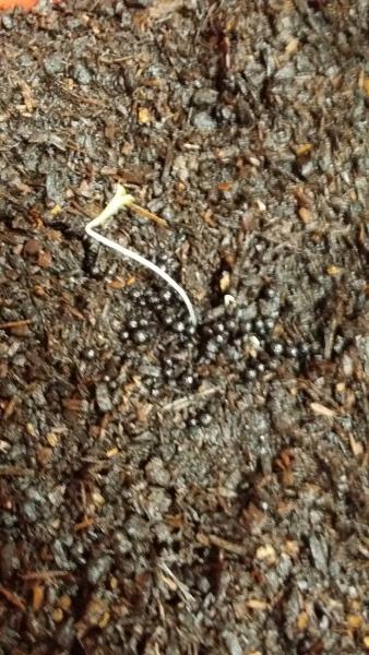 20170301_095006.jpg