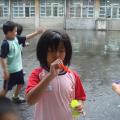 DSC03337