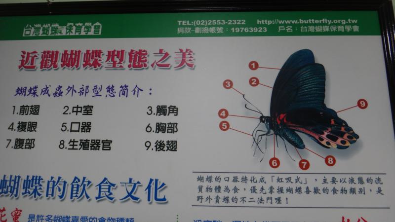 DSC08860.JPG