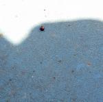 IMG20170327105645.jpg