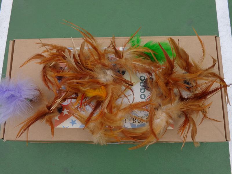 DSC03600.JPG