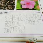 IMG20170330090448.jpg