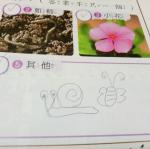 IMG20170330090541.jpg