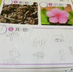IMG20170330090821.jpg