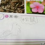 IMG20170330091217.jpg