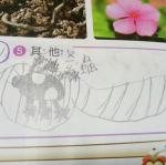 IMG20170330091356.jpg