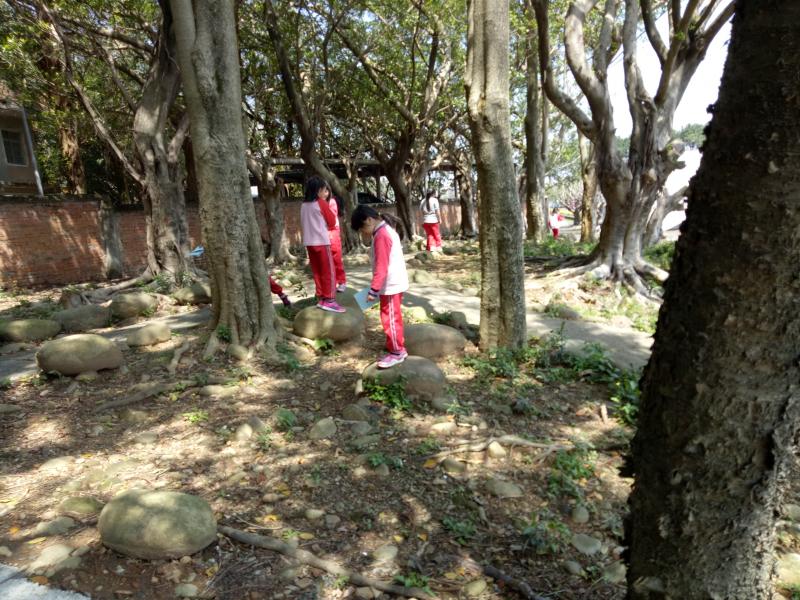 IMG20170327110813