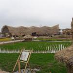 20170504_092427.jpg
