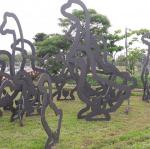 20170504_092628.jpg