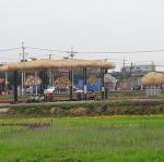 20170504_094250.jpg