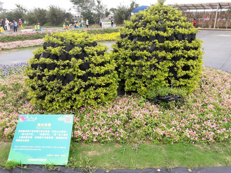 20170504_094958.jpg