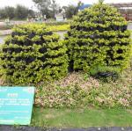 20170504_094958.jpg