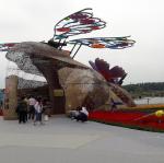 20170504_100132.jpg