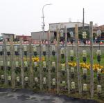 20170504_100335.jpg