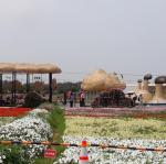 20170504_101658.jpg