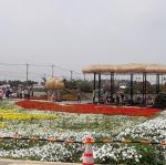 20170504_101704.jpg
