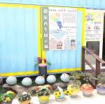 20170504_101953.jpg